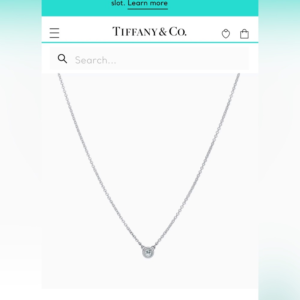 Tiffany Necklace